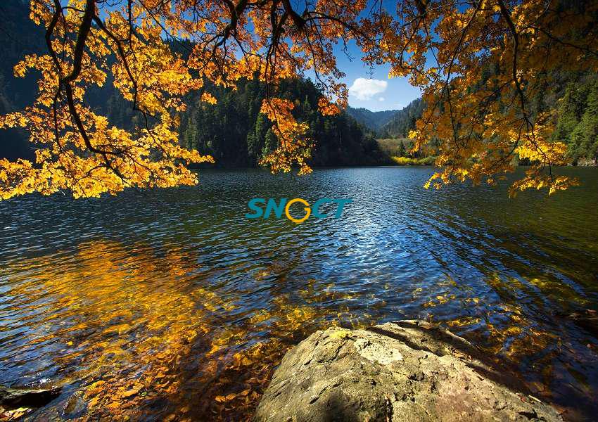 旅游規(guī)劃的主要類型有哪些？